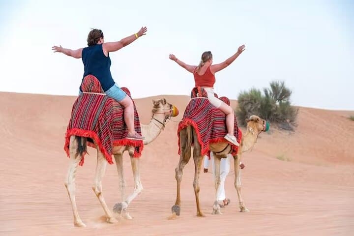 Dubai Desert Safari with BBQ Dinner and Local Driver — Evening Dune Bashing & Camp Experience photo 5