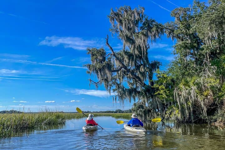 Hilton Head Outback Boat and Kayak Adventure — Page Island to Daufuskie Marshes photo 3