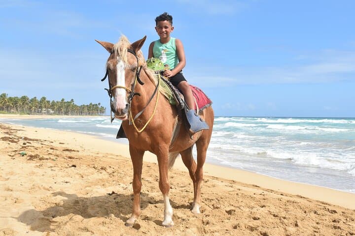 Beach Horseback Riding in Punta Cana: Uvero Alto Ranch Adventure photo 5
