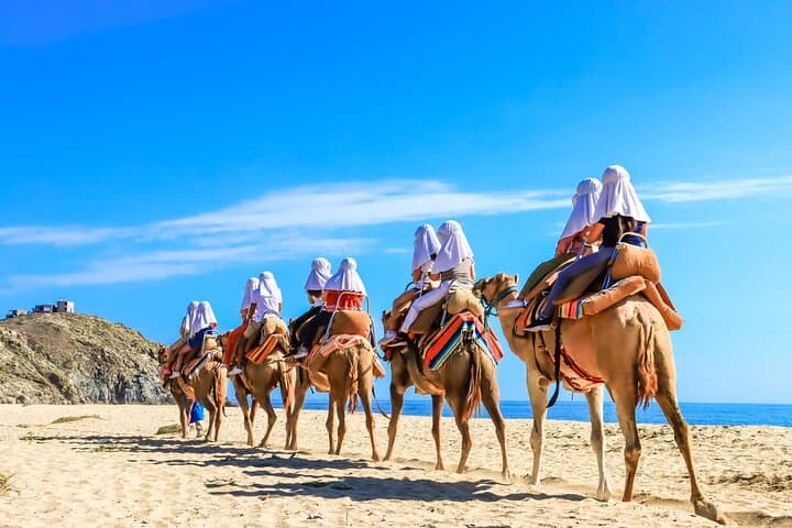 Cabo Electric Bike & Camel Ride: Beach E-Bike, Whales and Mexican Buffet photo 5
