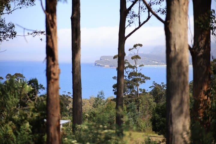 Tasman Peninsula Day Tour: Coastal Cliffs, Tessellated Pavement & Remarkable Cave photo 6