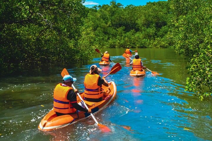 Bali Mangrove Canoeing Tour — Paddle Benoa’s Coastal Forest & Support Conservation
