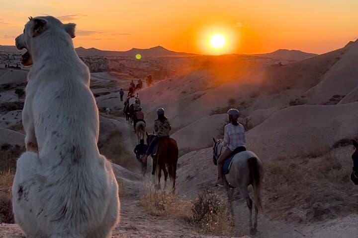 Cappadocia 2-Hour Horse Ride Through Rose & Red Valleys photo 2
