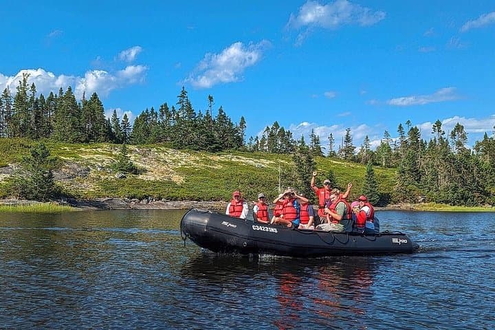 Zodiac Coastal Tour Near Lunenburg — Wildlife, Geology & Shoreline Cruise