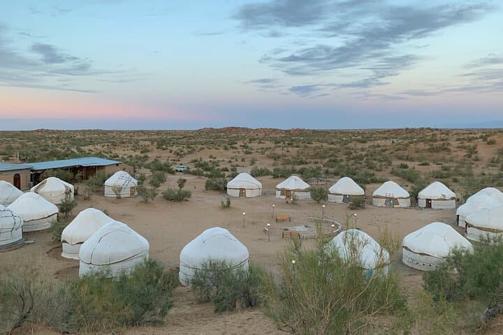 Yurt Camp Between Samarkand and Bukhara — Overnight Nomad Experience at Aydarkul photo 4