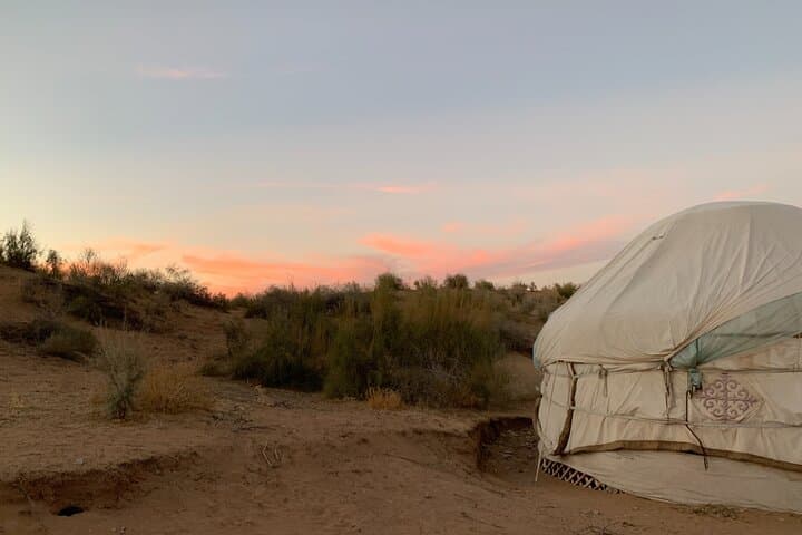 Yurt Camp Between Samarkand and Bukhara — Overnight Nomad Experience at Aydarkul photo 6