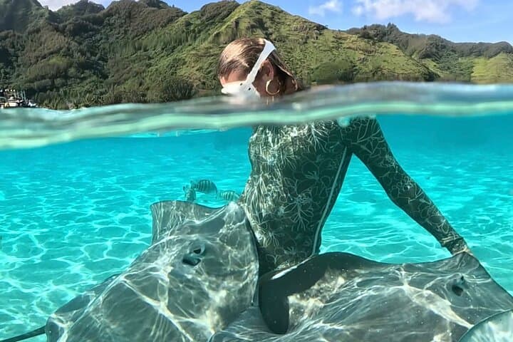 Private Half-Day Lagoon Adventure & Snorkel Tour in Mo'orea photo 6