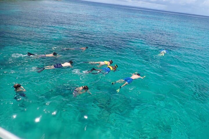 Snorkel the Fajardo Keys: Boat Day to Icacos and Coral Reefs