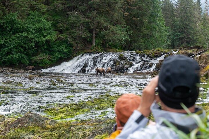 Floatplane to Waterfall Creek: Brown Bear Viewing from Juneau photo 6