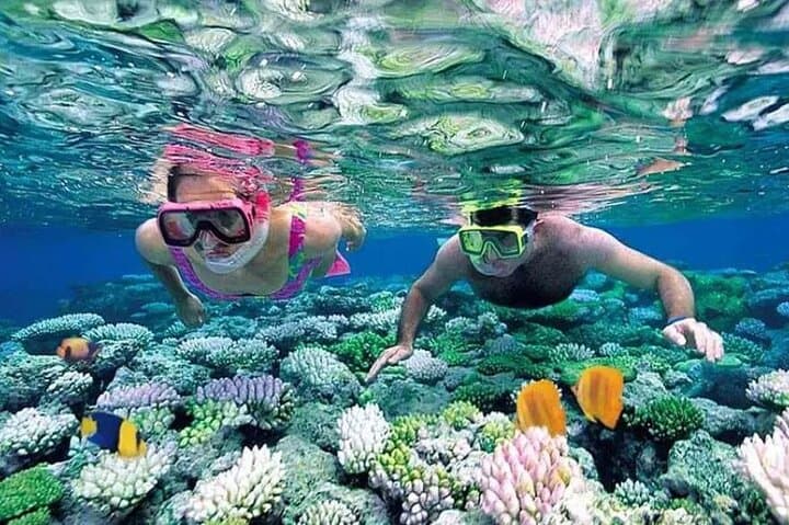 Trekking and Snorkeling on Nhơn Lý Peninsula: Phuong Mai Hike, SUP & Coral Reefs