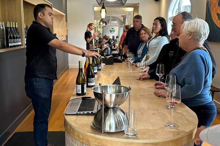 Martinborough Wine & Chef Shared Tour with Lunch from Wellington photo 3