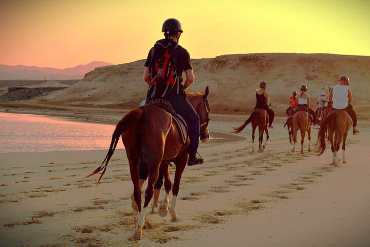 Hurghada Horseback Riding in Makadi Bay: Sunset Rides, Stargazing & Dinner photo 5