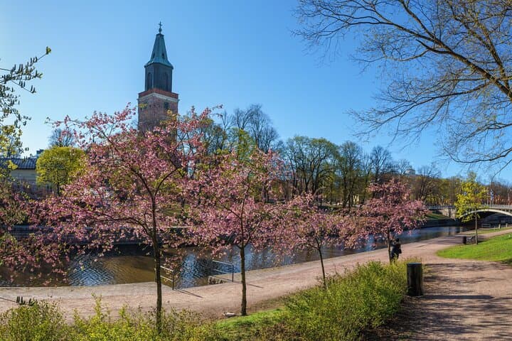Full-Day Private Tour to Turku from Helsinki: Cathedral, Castle & Market photo 3