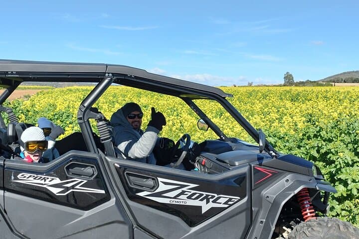 Mallorca Buggy Tour from Cala Bona to Capdepera Lighthouse via Artà photo 4