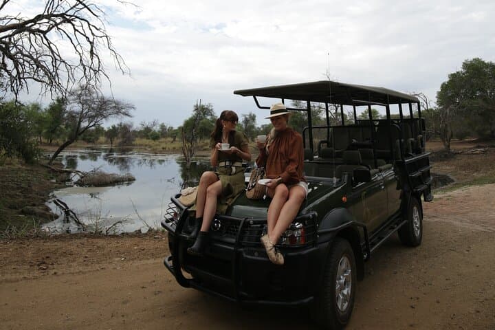 2-Day Limpopo Safari at Palala Boutique Game Lodge & Spa