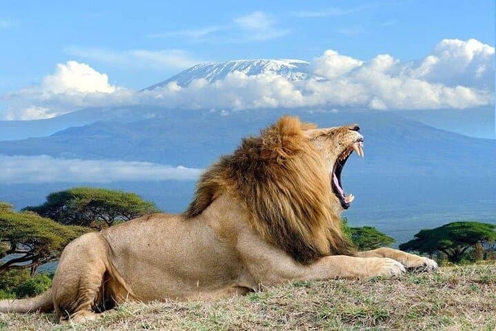 2-Day Amboseli Safari: Elephants at Mount Kilimanjaro's Base photo 2