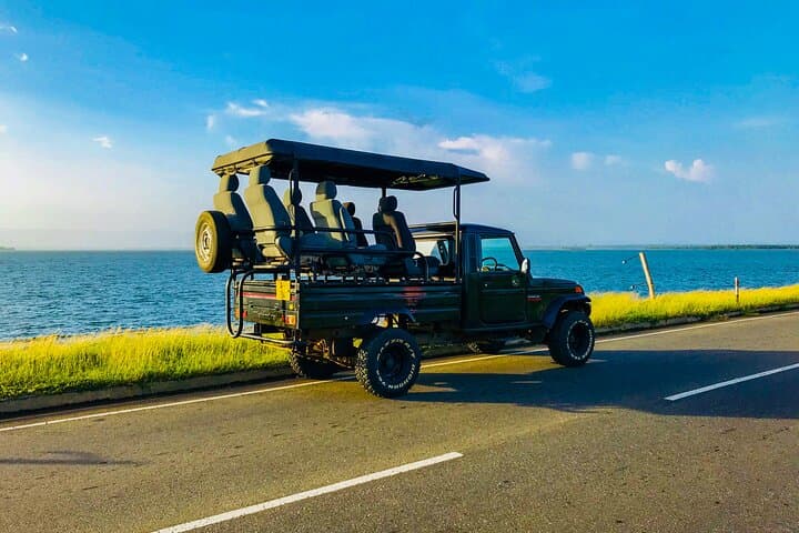 Udawalawa Wild Private Safari: Off-Road Elephant Encounters in Sri Lanka photo 2