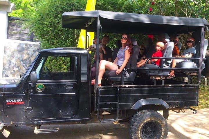 Udawalawa Wild Private Safari: Off-Road Elephant Encounters in Sri Lanka photo 4