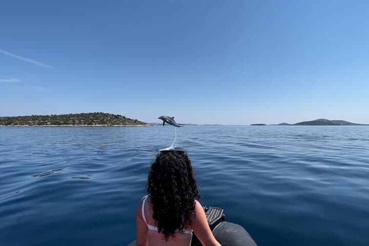 Zadar Speedboat Island Tour & Snorkeling to Ošljak and Ugljan photo 3