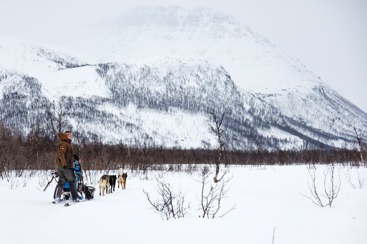 Self-Drive Husky Safari from Tromsø — Dog Sledding in the Lyngen Gateway photo 3