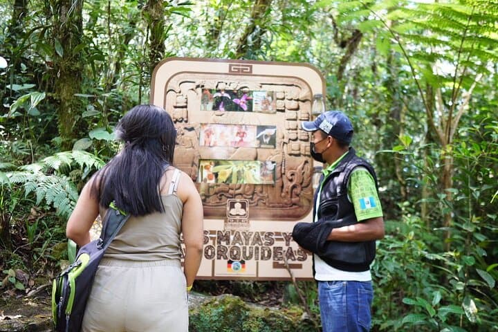 Half-Day Orchid Sanctuary Tour from Cobán — Orquigonia Cloud Forest Experience photo 3