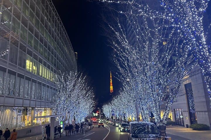 One-Day Private Tokyo Tour: Top Sights with a Local Guide photo 6