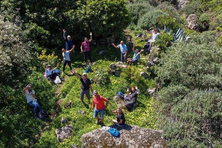 Green Gran Canaria Blossom Hikes — Small‑Group Guided Walks