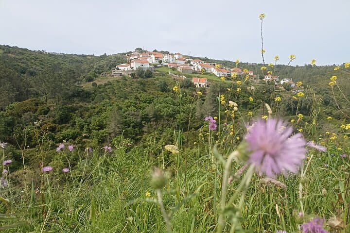 Hike and Wine Tasting in Cheleiros: Ericeira's Volcanic Trails & Wineries photo 3