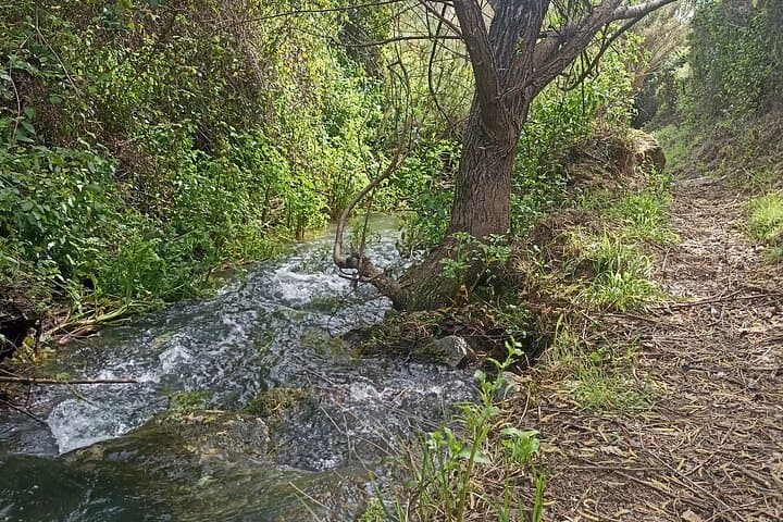 Hike and Wine Tasting in Cheleiros: Ericeira's Volcanic Trails & Wineries photo 6