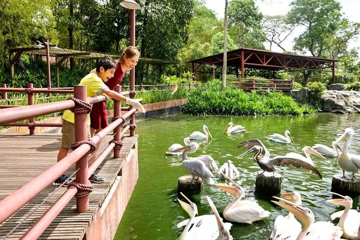 Singapore Zoo Visitor Guide: Wildlife Encounters, Practical Tips & Full-Day Plan photo 6