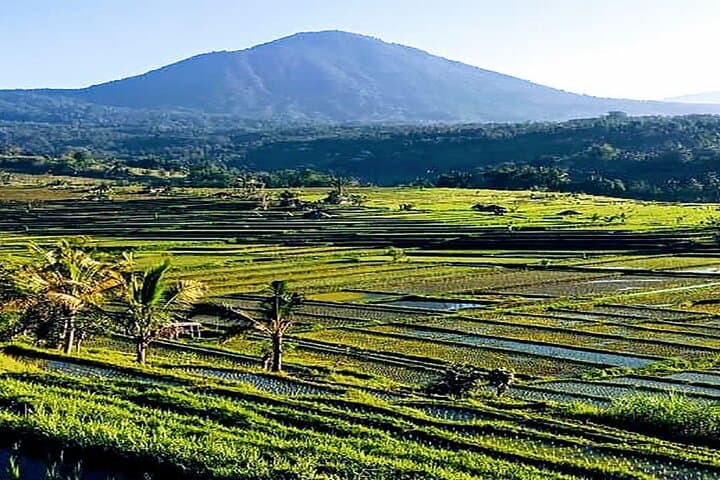 Banyumala Waterfall & Bedugul Day Trip — Ulun Danu, Jatiluwih & Botanical Garden photo 4