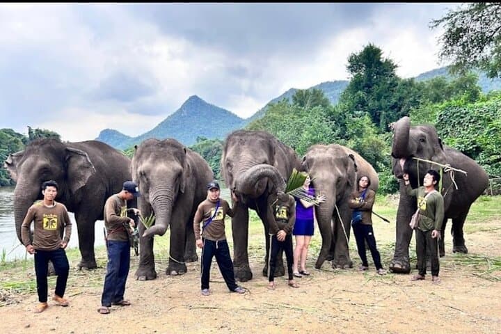 Erawan Waterfall & Elephant Care Day Trip from Bangkok photo 6
