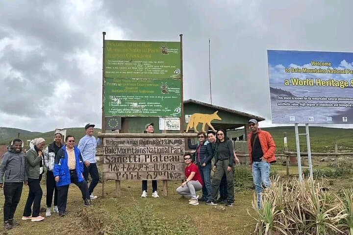 Bale Mountains 3-Day Scenic Driving Tour: Sanetti Plateau, Harenna Forest & Wildlife Camping photo 6