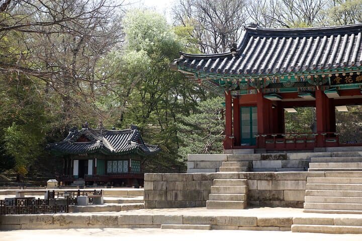 Private Seoul Day Tour with Professional Photographer — Palaces, DMZ, Nami & Folk Villages photo 2