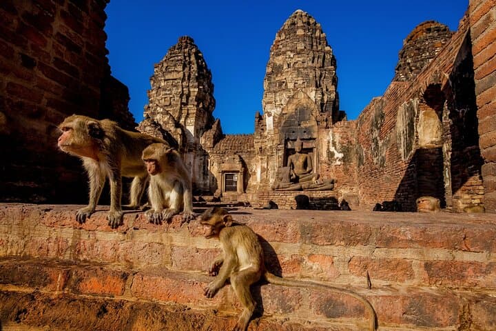 Day Tour from Bangkok: Ayutthaya Ruins, Lopburi Monkeys & Wat Muang’s Giant Buddha
