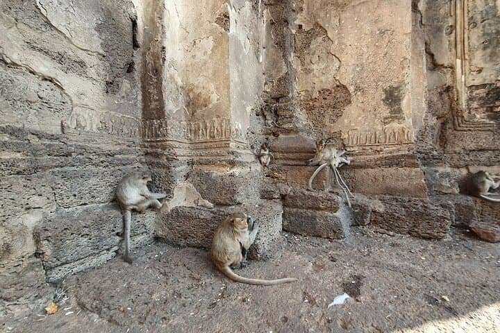 Day Tour from Bangkok: Ayutthaya Ruins, Lopburi Monkeys & Wat Muang’s Giant Buddha photo 3