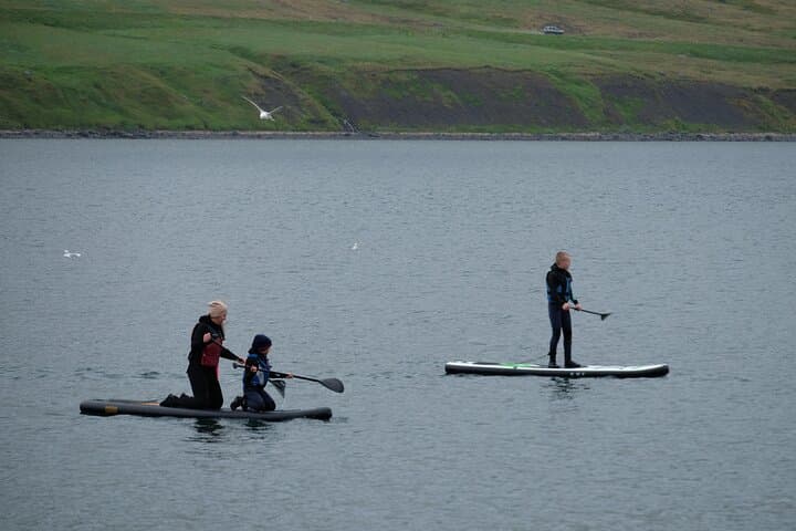 Wakeboarding, Waterskiing & Paddleboarding in the Westfjords (Flateyri) photo 5