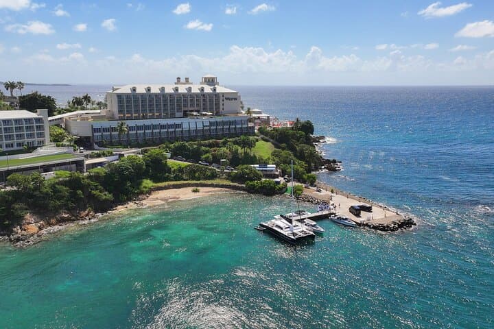 Maho Bay Turtle Snorkel from St. Thomas — Catamaran, Lunch & Full Bar photo 5