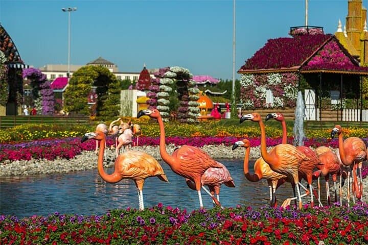 Dubai Miracle Garden: Skip-the-Line Tickets for 50 Million Blooms