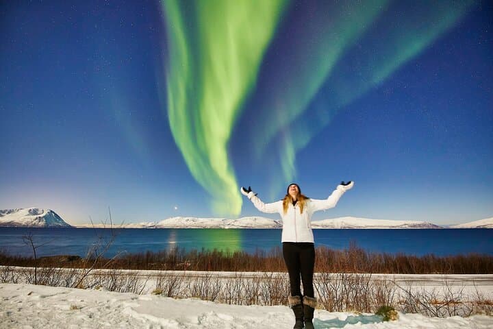 Tromsø Private Aurora Chase: Minivan Northern Lights Tour