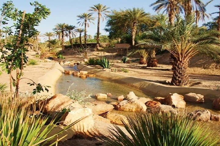 Great Raid of Southern Tunisia: 3-Day Matmata, Douz & Tozeur Sahara Tour photo 3
