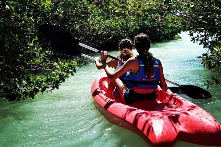 Discover Sisal: Mangroves, Kayaks & Beach Lunch from Mérida photo 3