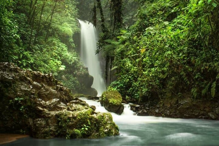 Doka Estate, Poás Volcano & La Paz Waterfalls: Full-Day Nature and Coffee Tour from San José photo 5