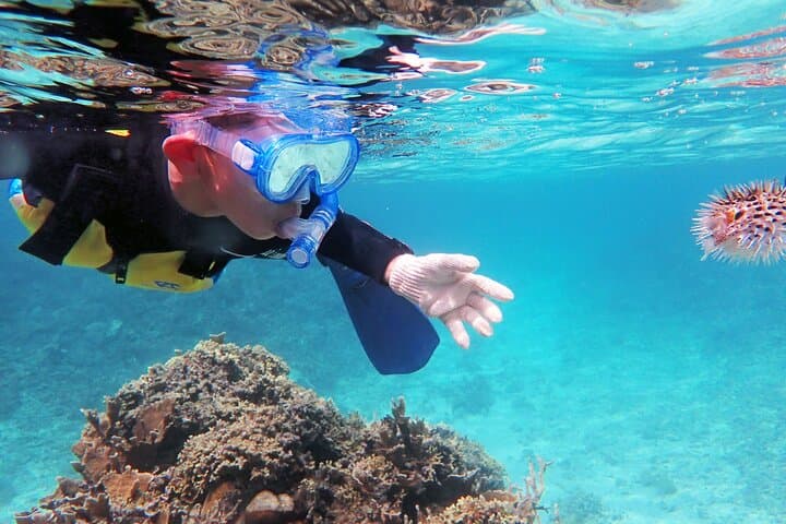 Half-Day Amami Oshima Boat Snorkeling Adventure from Ashitoku Port photo 6