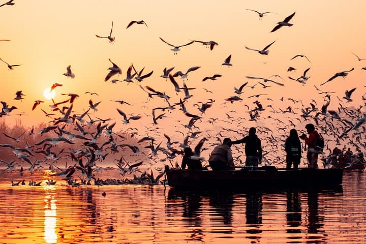 3-Day Private Tour from Delhi: Taj Mahal, Agra & Varanasi Sunrise Ganges photo 2