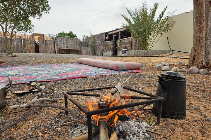 Wahiba Sands Desert Trek & Bedouin Family Breakfast in Bidiyah, Oman photo 5