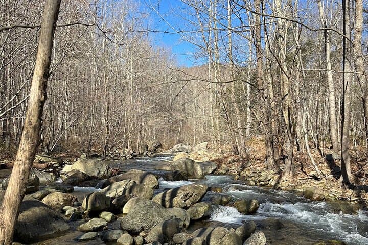 Private Virginia Trout Fishing Excursion: Full-Day Guided Trip from DC photo 6