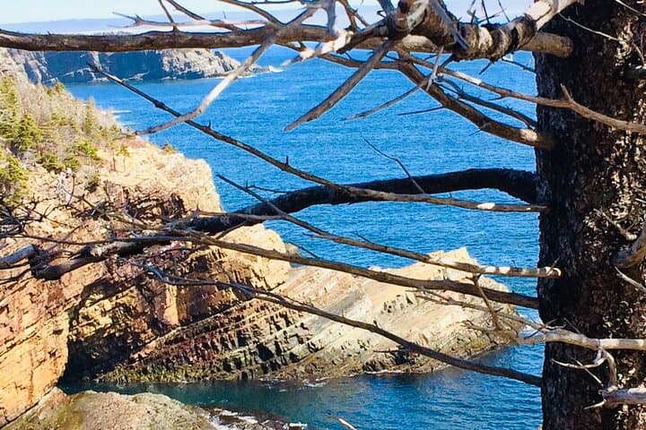 Killick Coast Coastal Hike from St. John's with Local Guide Deneen photo 5