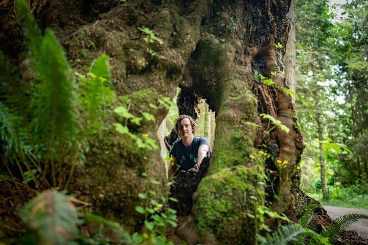 Walk Among Vancouver's Ancient Trees — Stanley Park Walking Tour photo 5