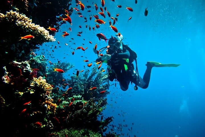 Hurghada Beginner Scuba Day Trip: Full-Day Red Sea Diving with Lunch photo 6